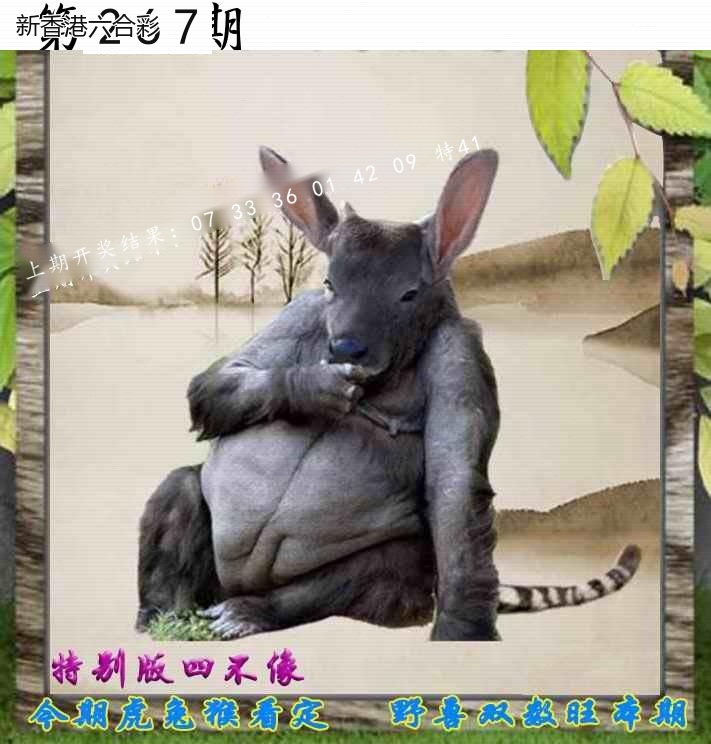 第2026267期精选图库 1318