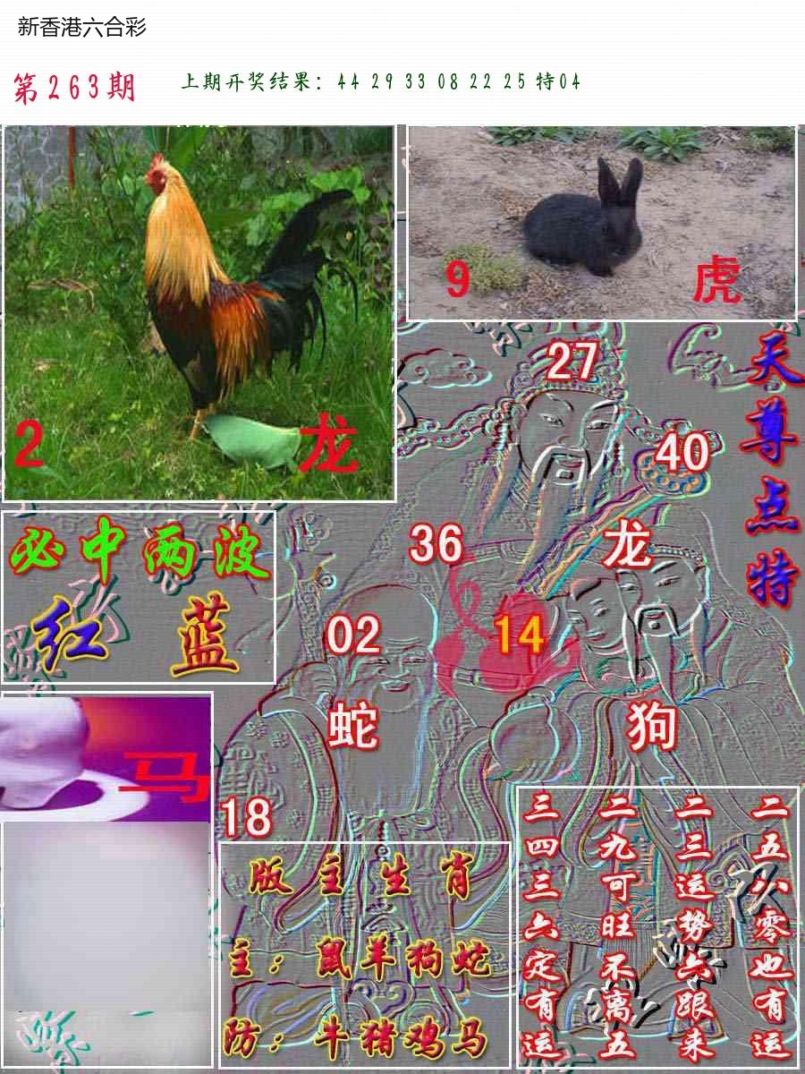 第2026265期精选图库 1351